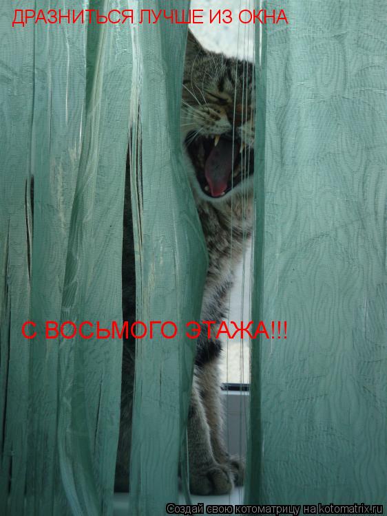 Котоматрица: ДРАЗНИТЬСЯ ЛУЧШЕ ИЗ ОКНА С ВОСЬМОГО ЭТАЖА!!!