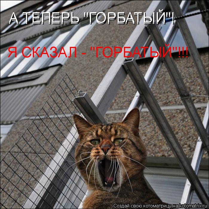 А ТЕПЕРЬ "ГОРБАТЫЙ"! А ТЕПЕРЬ "ГОРБАТЫЙ"! Я СКАЗАЛ - "ГОРБАТЫЙ"!!!... Котоматрица: А ТЕПЕРЬ "ГОРБАТЫЙ"! А ТЕПЕРЬ "ГОРБАТЫЙ"! Я СКАЗАЛ - "ГОРБАТЫЙ"!!!