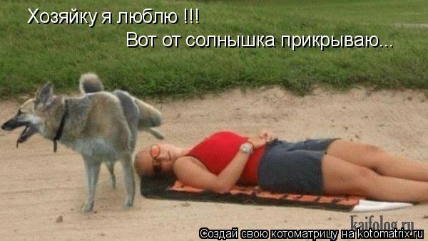 Котоматрица: Хозяйку я люблю !!!  Вот от солнышка прикрываю...