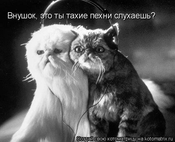 Котоматрица: Внушок, это ты тахие пехни слухаешь?