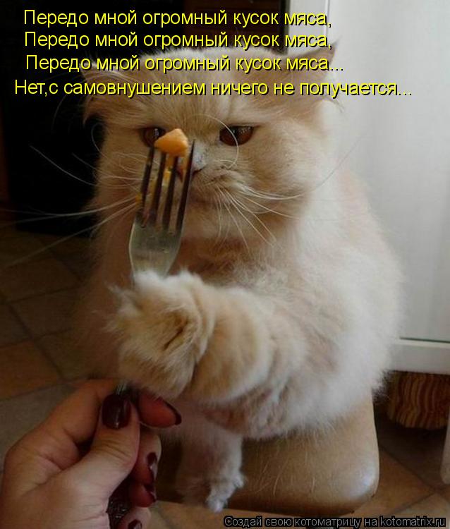 Передо мной огромный кусок мяса, Передо мной огромный кусок мяса, Передо мной огромный кусок мяса... ... Котоматрица: Передо мной огромный кусок мяса, Передо мной огромный кусок мяса, Передо мной огромный кусок мяса... Нет,с самовнушением ничего не получаетс