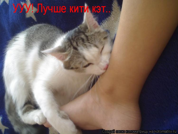 Котоматрица: УУУ! Лучше кити кэт..