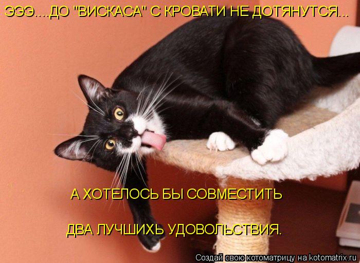 ЭЭЭ....ДО "ВИСКАСА" С КРОВАТИ НЕ ДОТЯНУТСЯ... А ХОТЕЛОСЬ БЫ СОВМЕСТИТЬ ДВА ЛУЧШИХЬ УДОВОЛЬСТВИЯ.... Котоматрица: ЭЭЭ....ДО "ВИСКАСА" С КРОВАТИ НЕ ДОТЯНУТСЯ... А ХОТЕЛОСЬ БЫ СОВМЕСТИТЬ ДВА ЛУЧШИХЬ УДОВОЛЬСТВИЯ.