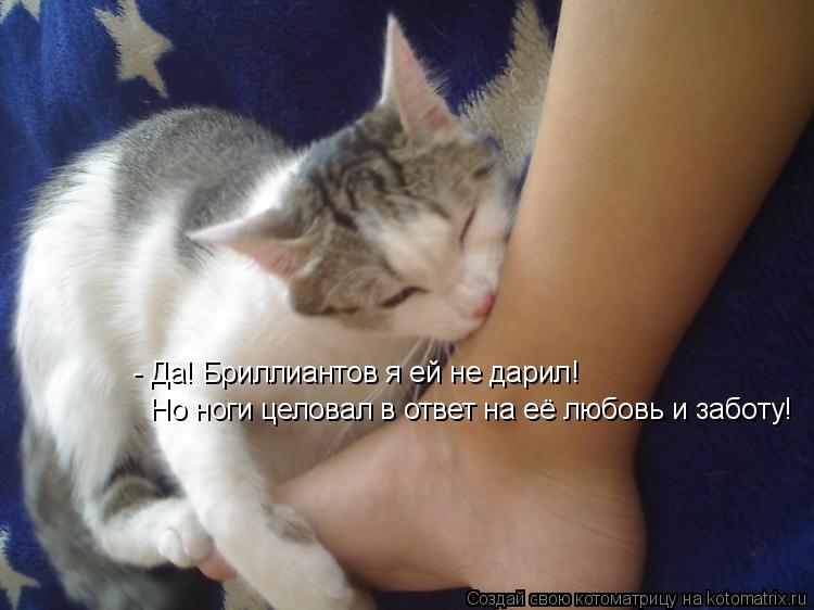 - Да! Бриллиантов я ей не дарил! Но ноги целовал в ответ на её любовь и заботу!... Котоматрица: - Да! Бриллиантов я ей не дарил! Но ноги целовал в ответ на её любовь и заботу!