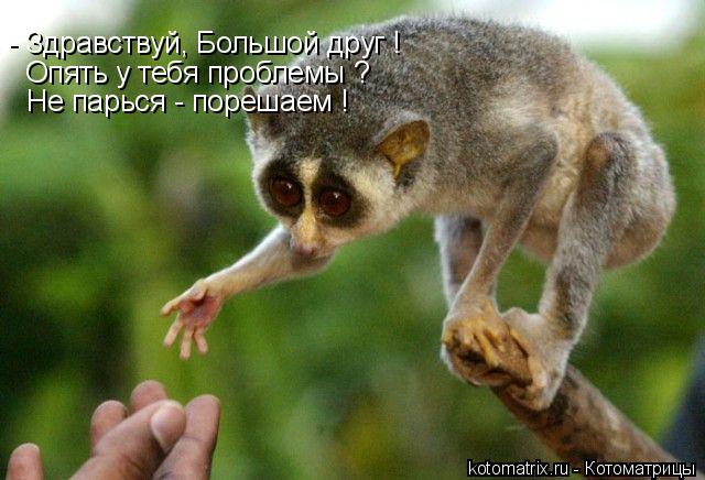- Здравствуй, Большой друг ! Опять у тебя проблемы ? Не парься - порешаем !... Котоматрица: - Здравствуй, Большой друг ! Опять у тебя проблемы ? Не парься - порешаем !