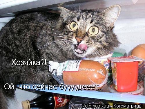Хозяйка?! Ой, что сейчас буууудееет... Ой, что сейчас буууудееет...... Котоматрица: Хозяйка?! Ой, что сейчас буууудееет... Ой, что сейчас буууудееет...