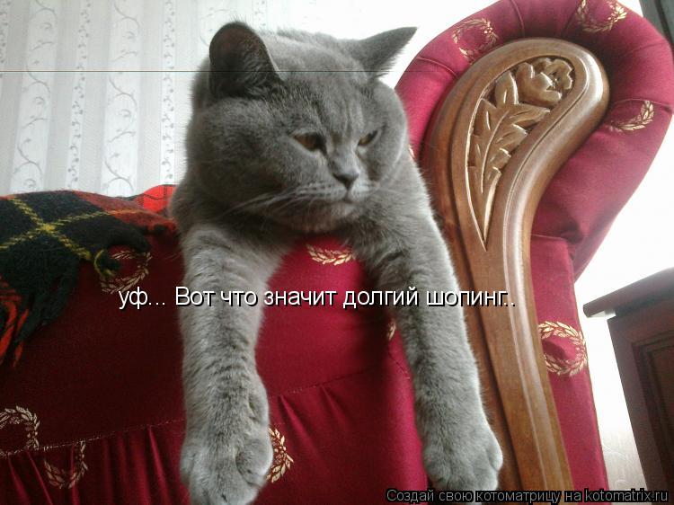 уф... Вот что значит долгий шопинг..... Котоматрица: уф... Вот что значит долгий шопинг..