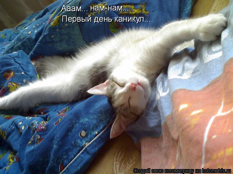 Ааам... нам-нам... Первый день каникул...... Котоматрица: Ааам... нам-нам... Первый день каникул...
