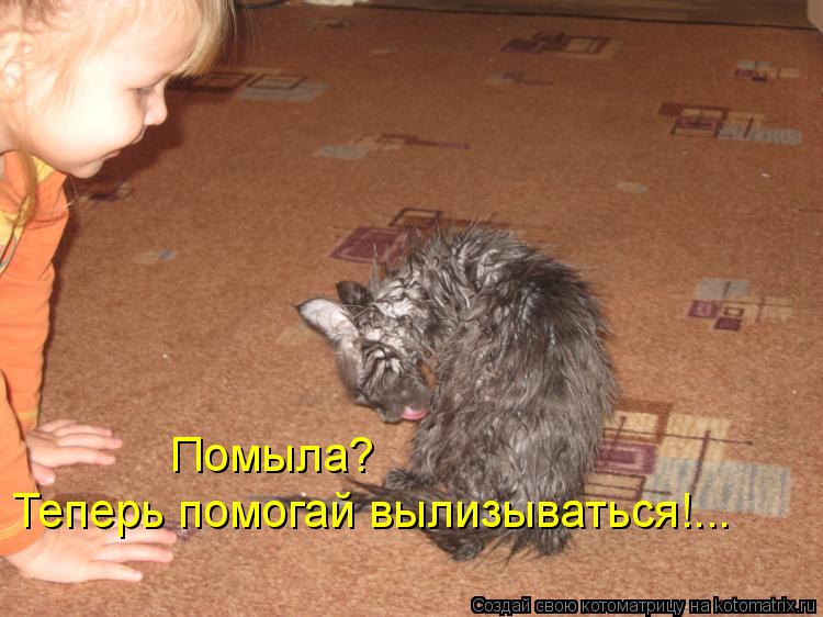 Помыла? Теперь помогай вылизываться!...... Котоматрица: Помыла? Теперь помогай вылизываться!...
