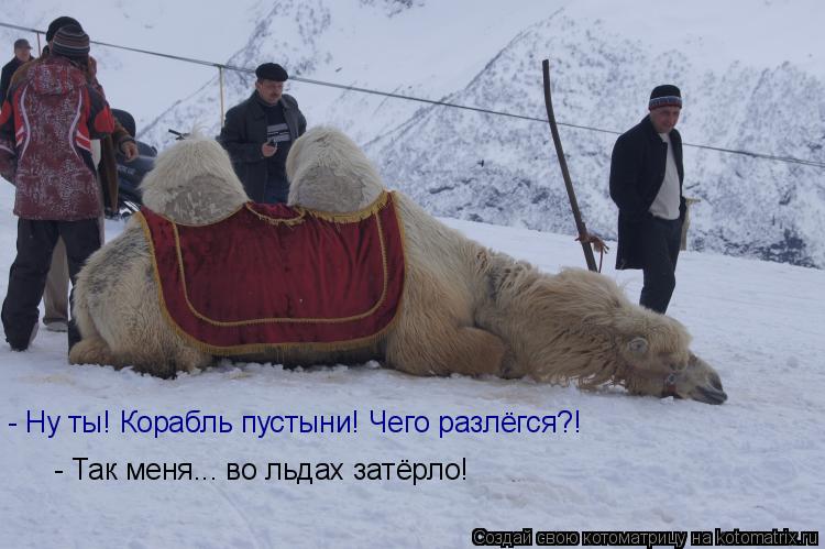 - Ну ты! Корабль пустыни! Чего разлёгся?! - Так меня... во льдах затёрло!... Котоматрица: - Ну ты! Корабль пустыни! Чего разлёгся?! - Так меня... во льдах затёрло!