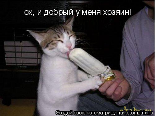 ох, и добрый у меня хозяин!... Котоматрица: ох, и добрый у меня хозяин!