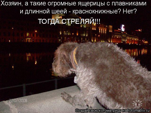Хозяин, а такие огромные ящерицы с плавниками и длинной шеей - краснокнижные? Нет? ТОГДА СТРЕЛЯЙ!!!... Котоматрица: Хозяин, а такие огромные ящерицы с плавниками и длинной шеей - краснокнижные? Нет? ТОГДА СТРЕЛЯЙ!!!