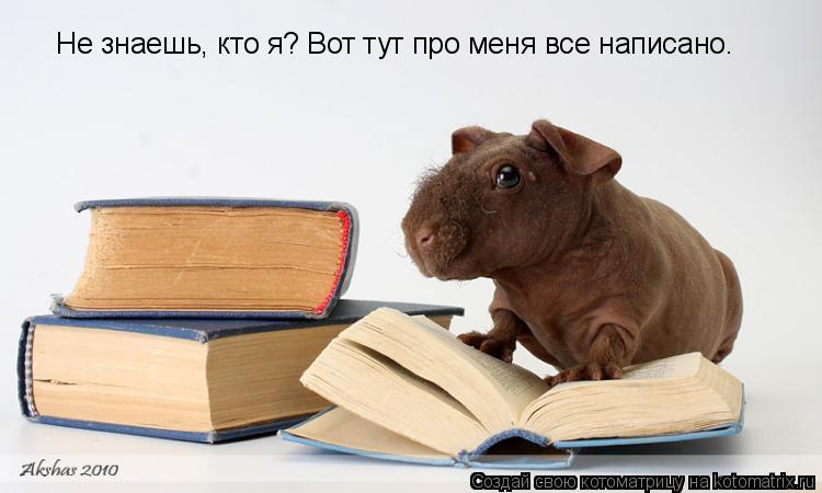 Не знаешь, кто я? Вот тут про меня все написано.... Котоматрица: Не знаешь, кто я? Вот тут про меня все написано.