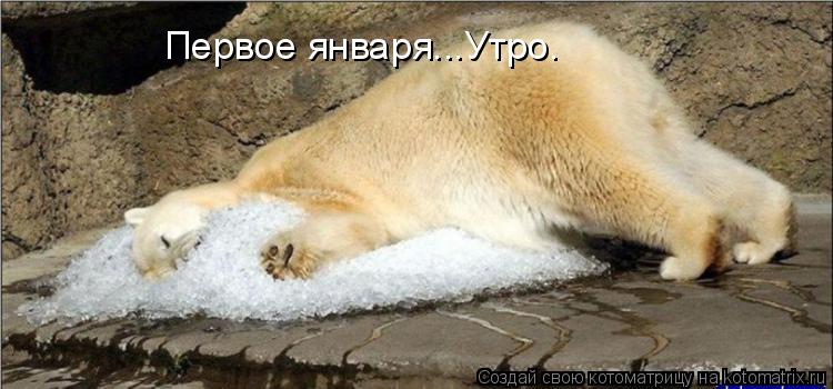Первое января...Утро.... Котоматрица: Первое января...Утро.