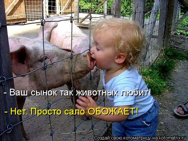 - Ваш сынок так животных любит! - Нет. Просто сало ОБОЖАЕТ!... Котоматрица: - Ваш сынок так животных любит! - Нет. Просто сало ОБОЖАЕТ!