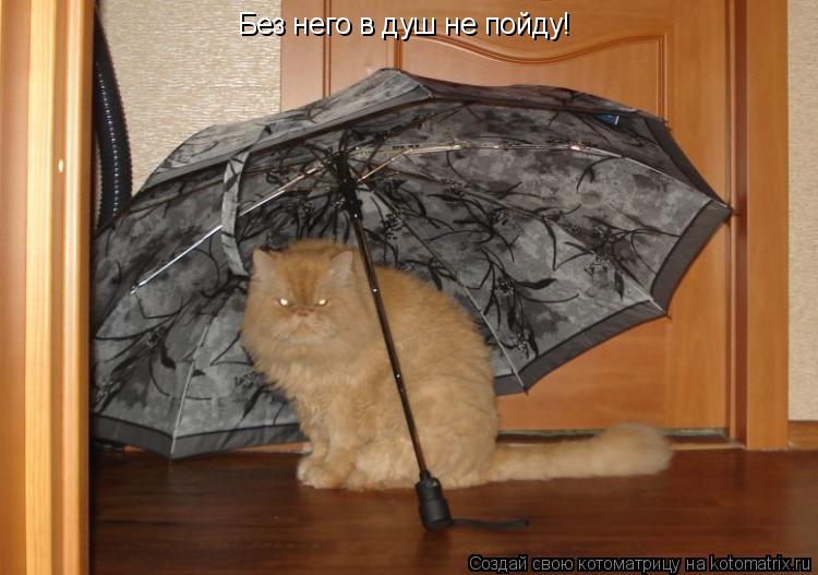 Без него в душ не пойду!... Котоматрица: Без него в душ не пойду!