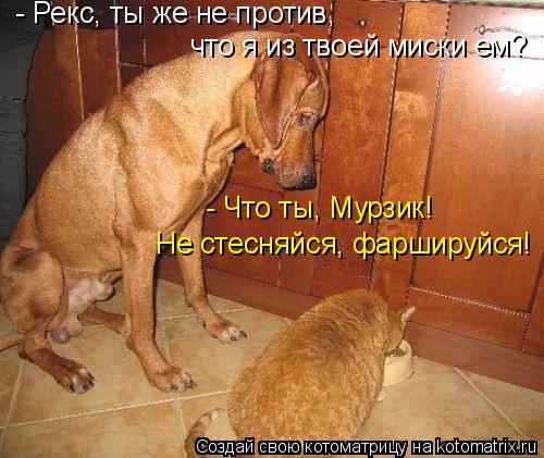 - Рекс, ты же не против, что я из твоей миски ем? - Что ты, Мурзик! Не стесняйся, фаршируйся!... Котоматрица: - Рекс, ты же не против, что я из твоей миски ем? - Что ты, Мурзик! Не стесняйся, фаршируйся!