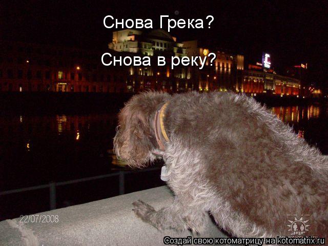 Снова Грека? Снова в реку?... Котоматрица: Снова Грека? Снова в реку?