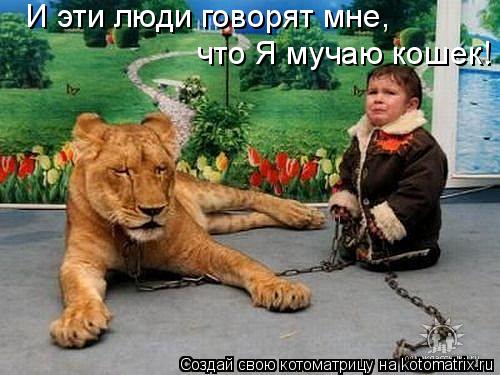 И эти люди говорят мне, что Я мучаю кошек!... Котоматрица: И эти люди говорят мне, что Я мучаю кошек!