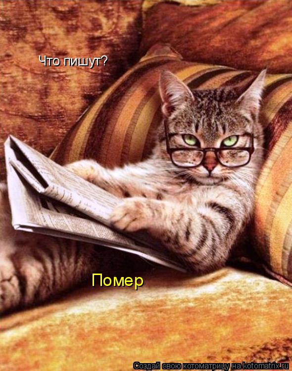 Что пишут? Помер... Котоматрица: Что пишут? Помер