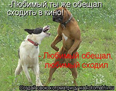 -Любимый,ты же обещал сходить в кино! - Любимый обещал, любимый сходил... Котоматрица: -Любимый,ты же обещал сходить в кино! - Любимый обещал, любимый сходил