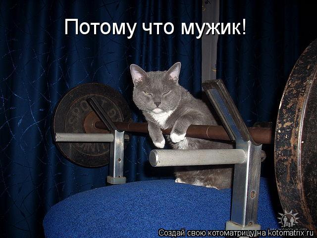 Потому что мужик!... Котоматрица: Потому что мужик!