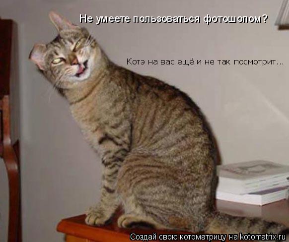 Не умеете пользоваться фотошопом? Котэ на вас ещё и не так посмотрит...... Котоматрица: Не умеете пользоваться фотошопом? Котэ на вас ещё и не так посмотрит...