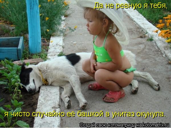 я чисто случайно её башкой в унитаз окунула. Да не ревную я тебя,... Котоматрица: я чисто случайно её башкой в унитаз окунула. Да не ревную я тебя,