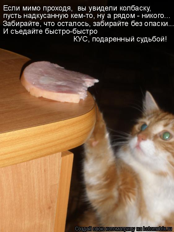 пусть надкусанную кем-то, ну а рядом - никого... Если мимо проходя, вы увидели колбаску, Забирайте, ... Котоматрица: пусть надкусанную кем-то, ну а рядом - никого... Если мимо проходя, вы увидели колбаску, Забирайте, что осталось, забирайте без опаски... И съед