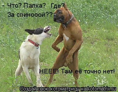 Что? Палка? Где? За спинооой?? НЕЕЕ! Там её точно нет! -... Котоматрица: Что? Палка? Где? За спинооой?? НЕЕЕ! Там её точно нет! -