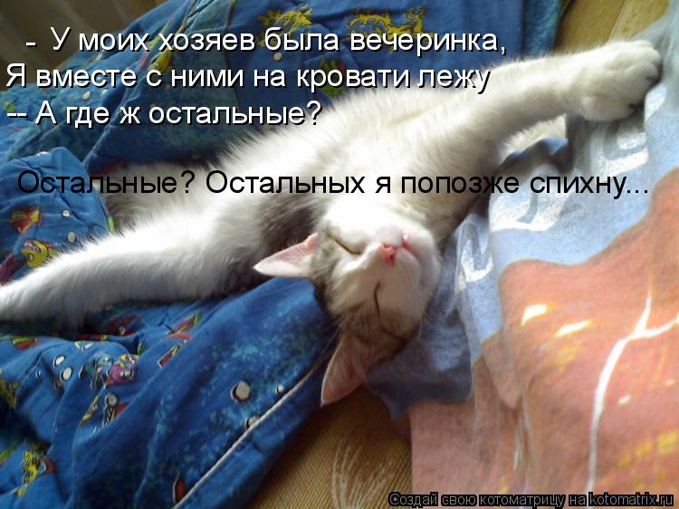 - У моих хозяев была вечеринка, Я вместе с ними на кровати лежу -- А где ж остальные? Остальные? Оста... Котоматрица: - У моих хозяев была вечеринка, Я вместе с ними на кровати лежу -- А где ж остальные? Остальные? Остальных я попозже спихну...