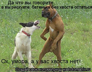 Ох, умора, а у вас хвоста нет! Да что вы говорите, а вы рискуете, батенька без хвоста остаться... Котоматрица: Ох, умора, а у вас хвоста нет! Да что вы говорите, а вы рискуете, батенька без хвоста остаться
