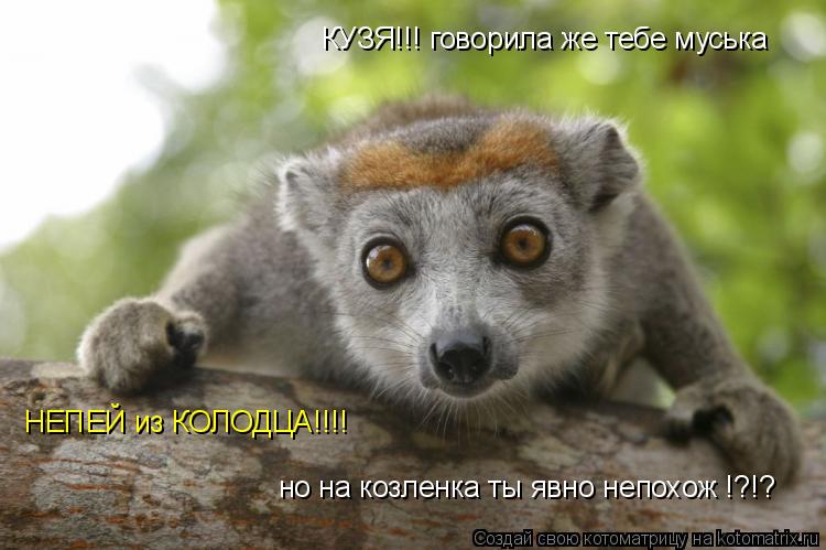 КУЗЯ!!! говорила же тебе муська НЕПЕЙ из КОЛОДЦА!!!! но на козленка ты явно непохож !?!?... Котоматрица: КУЗЯ!!! говорила же тебе муська НЕПЕЙ из КОЛОДЦА!!!! но на козленка ты явно непохож !?!?