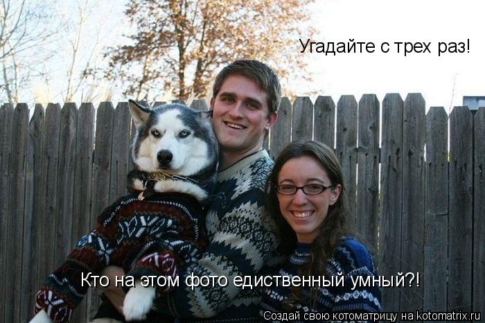 Котоматрица: Угадайте с трех раз! Кто на этом фото едиственный умный?!