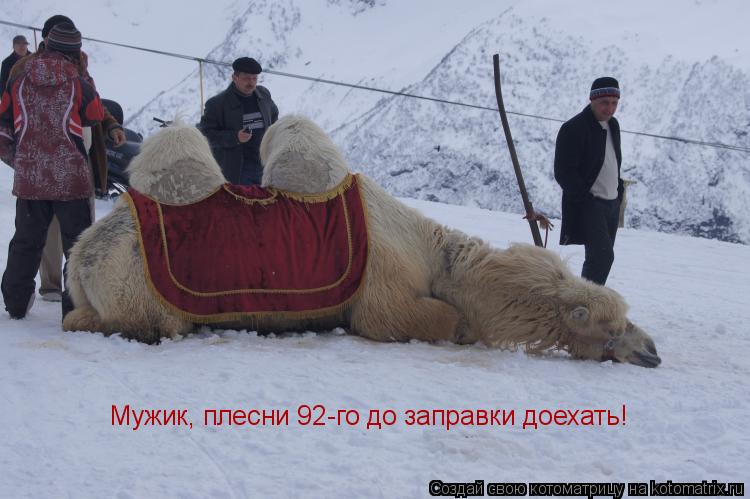 Котоматрица: Мужик, плесни 92-го до заправки доехать!