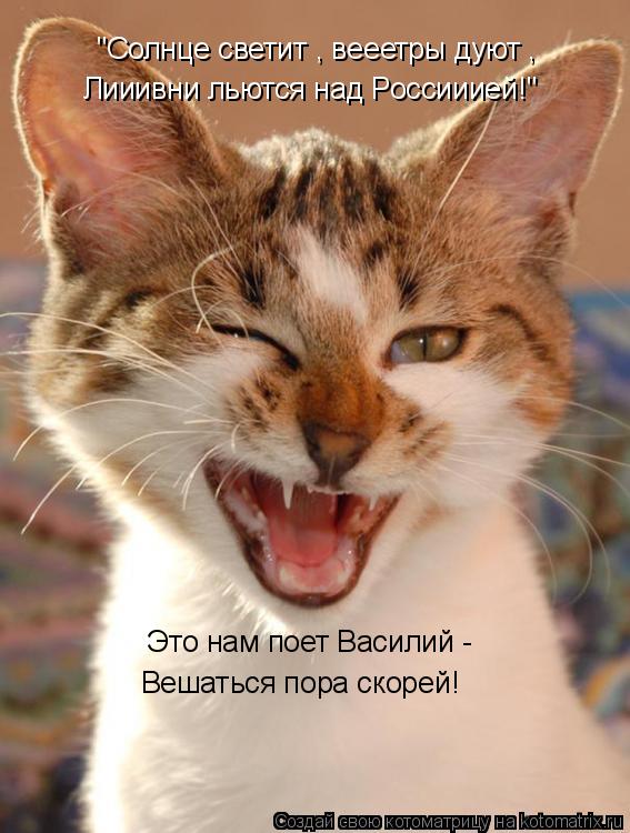 Котоматрица: "Солнце светит , вееетры дуют , Лииивни льются над Россииией!" Это нам поет Василий - Вешаться пора скорей!