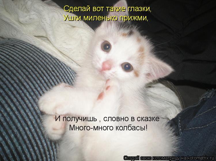 Котоматрица: Сделай вот такие глазки, Ушки миленько прижми, И получишь , словно в сказке Много-много колбасы!