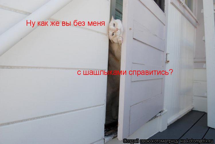 Котоматрица: Ну как же вы без меня с шашлыками справитись?