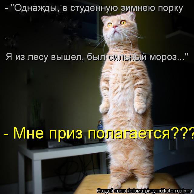 Котоматрица: - "Однажды, в студенную зимнею порку Я из лесу вышел, был сильный мороз..." - Мне приз полагается???