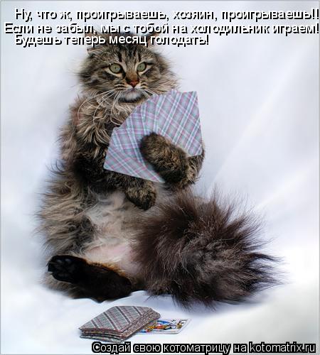 Котоматрица: Ну, что ж, проигрываешь, хозяин, проигрываешь!! Если не забыл, мы с тобой на холодильник играем!!! Будешь теперь месяц голодать!