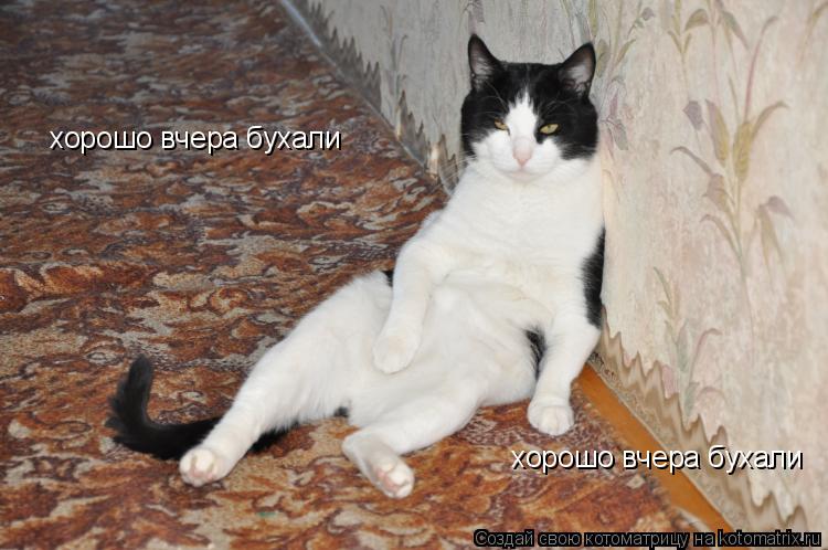 Котоматрица: хорошо вчера бухали хорошо вчера бухали хорошо вчера бухали
