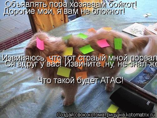 Котоматрица: Объявлять пора хозяевам бойкот! Дорогие мои, я вам не блокнот! Извиняюсь, что тот страый мной порвался вдруг Ся вдруг у вас! Извините ,ну, не з