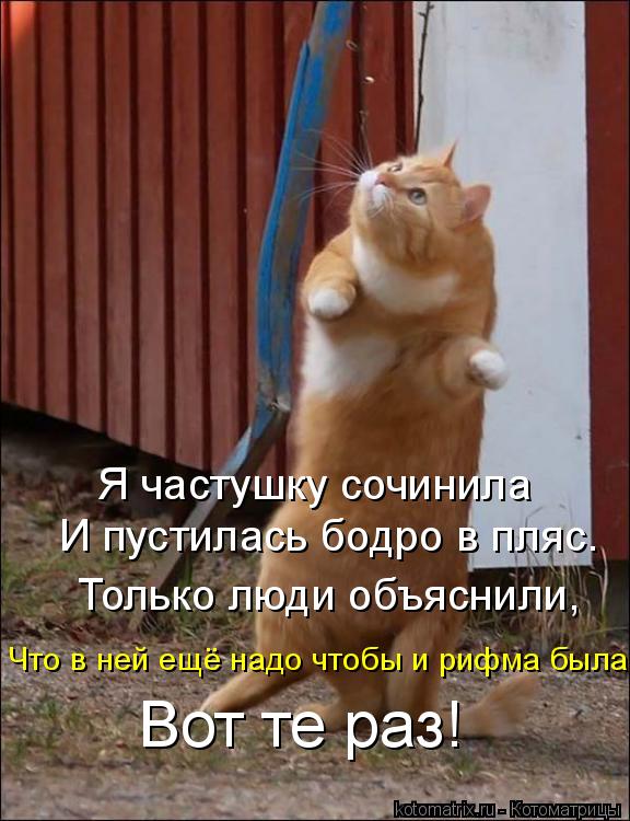 Котоматрица: Я частушку сочинила  И пустилась бодро в пляс. Только люди объяснили, Вот те раз! Что в ней ещё надо чтобы и рифма была