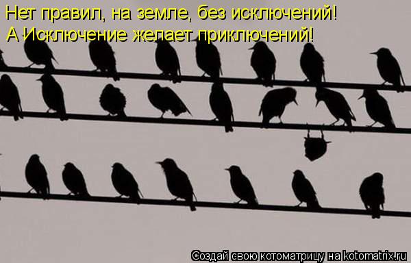Котоматрица: Нет правил, на земле, без исключений!  А Исключение желает приключений!