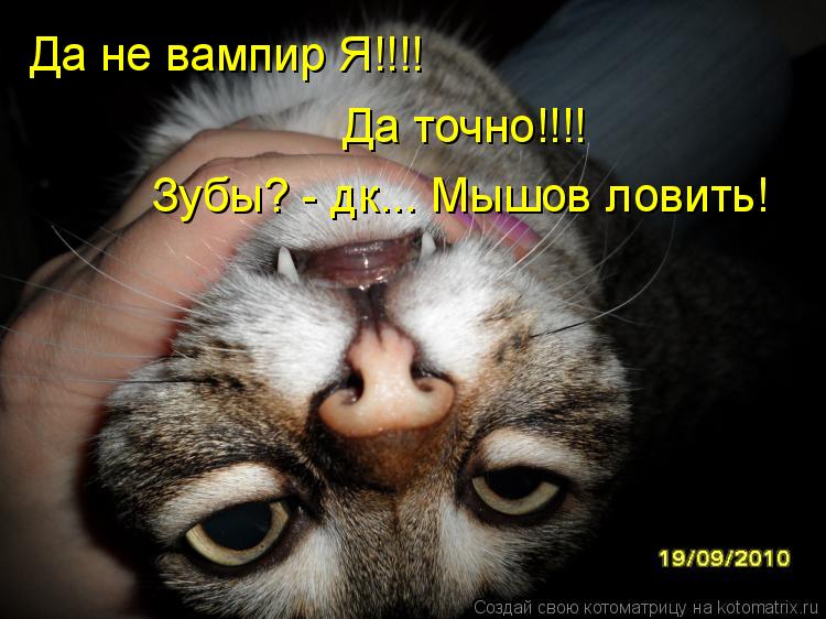 Котоматрица: Да не вампир Я!!!! Да точно!!!! Зубы? - дк... Мышов ловить!