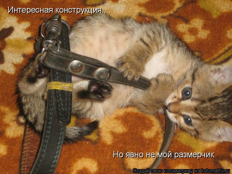 Котоматрица: Интересная конструкция.... Но явно не мой размерчик