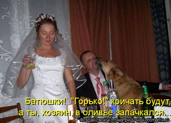 Котоматрица: Батюшки!  "Горько!" кричать будут, а ты, хозяин, в оливье запачкался...