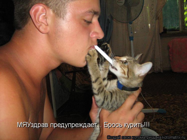 Котоматрица: МЯУздрав предупреждает... Брось курить!!!