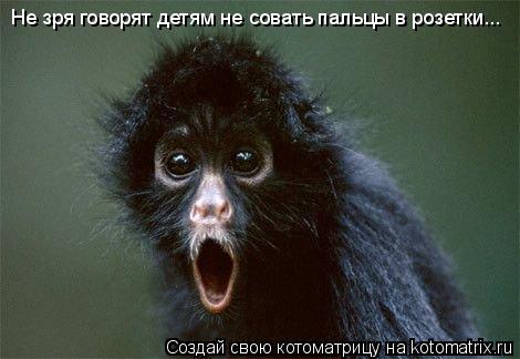 Котоматрица: Не зря говорят детям не совать пальцы в розетки...