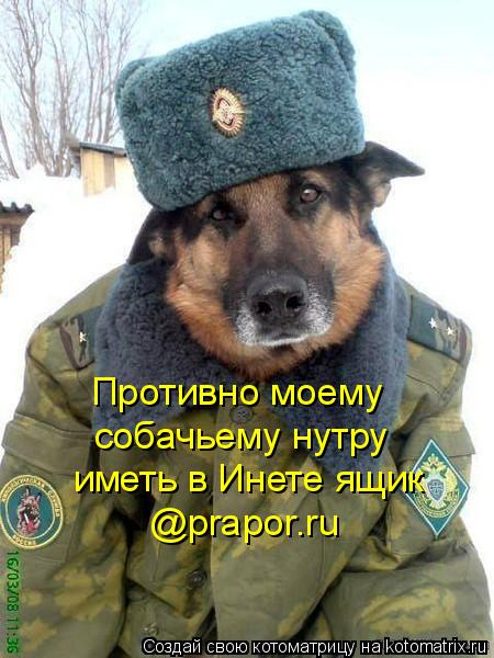 Противно моему собачьему нутру иметь в Инете ящик @prapor.ru... Котоматрица: Противно моему собачьему нутру иметь в Инете ящик @prapor.ru